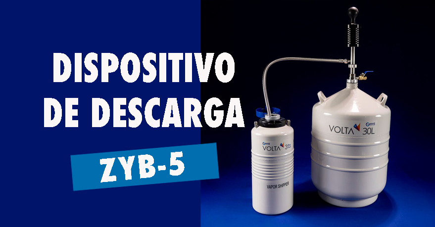 Como transferir nitrogênio líquido entre botijões com o dispositivo de descarga ZYB-5
